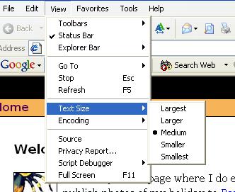 Screenshot showing Internet Explorers menu option to alter text size